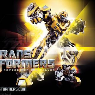 Transformers Revenge of The Fallen desktop wallpaper