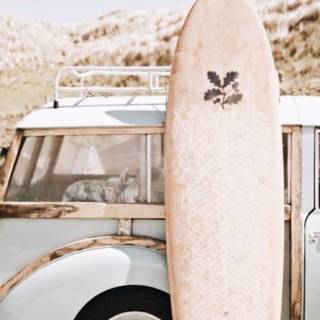 Surfboard aesthetic wallpaper