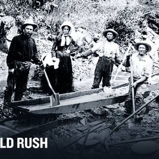 California Gold Rush wallpaper