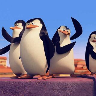 Madagascar movie wallpaper