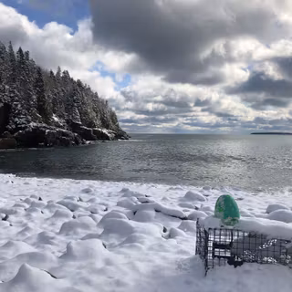Acadia National Park 4k wallpaper