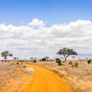 4k ultra HD environment wallpaper