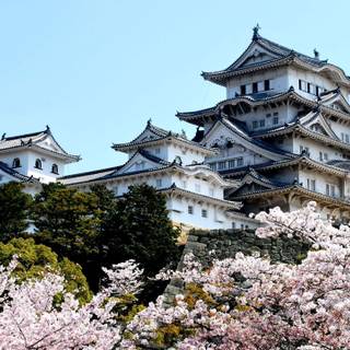 Japanese castle wallpaper