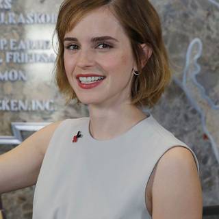 Emma Watson United Nations wallpaper