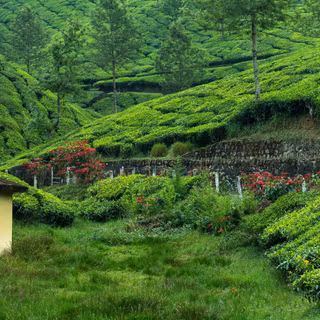 Western 4k wallpaper