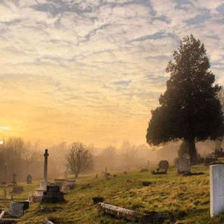 Grave stones wallpaper