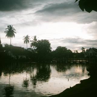 Summer lake reflections wallpaper