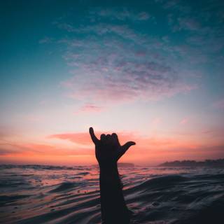 Surf iPhone 4k wallpaper