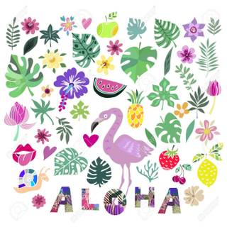 Aloha summer wallpaper