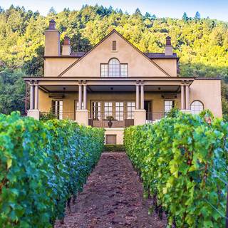 Bella Rolland wallpaper