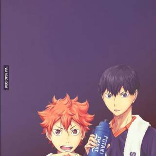 Haikyuu boys wallpaper