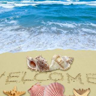 Mackbook summer wallpaper