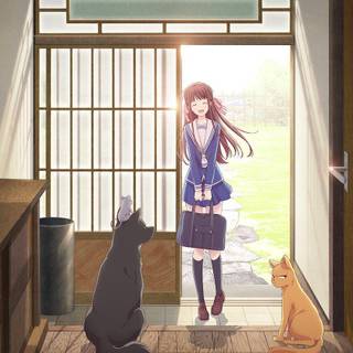 Fruits Basket 2021 wallpaper