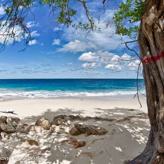 Summer and beach wallpaper