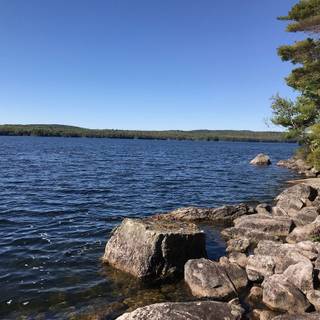 Summer lakehouse wallpaper