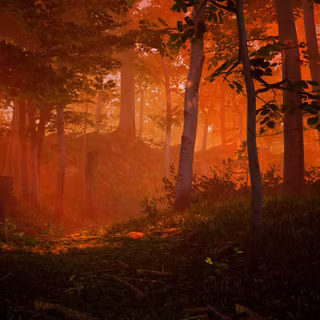 The Fabled Woods wallpaper