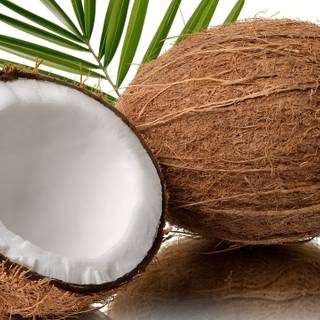 Coconut oil wallpaper