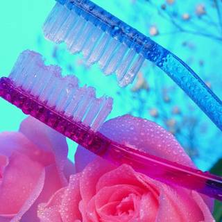 Toothbrush wallpaper