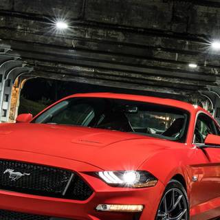 Mustang 4k iPhone wallpaper