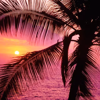 Cute girl stuff wallpaper