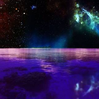 Miss Midnight wallpaper