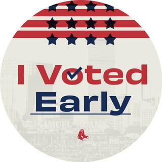 Women voting wallpaper