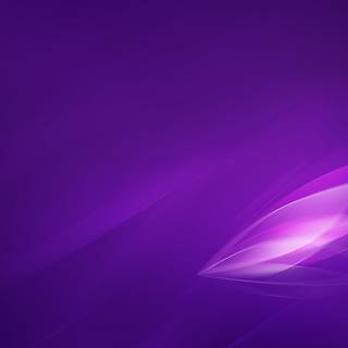 Violet colour wallpaper