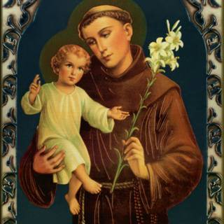 Saint Anthony of Padua wallpaper