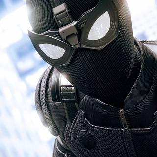 Night Monkey wallpaper