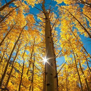 Cool vertical 4k wallpaper