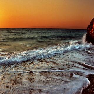 Vintage summer wallpaper