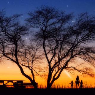 Warm summer night wallpaper