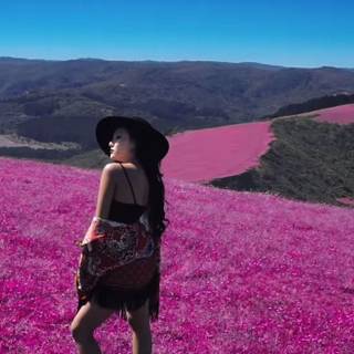 Starry Night Mamamoo wallpaper