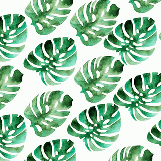 Summer aesthetic computer wallpaper