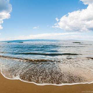 Summer oceans wallpaper