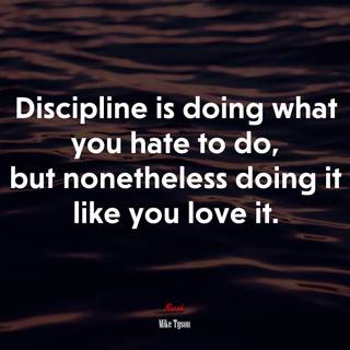 4k discipline wallpaper