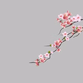 Aesthetic spring minimalistic wallpaper
