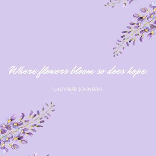 Aesthetic spring minimalistic wallpaper