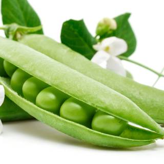 Green peas wallpaper
