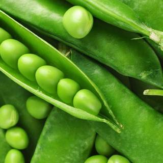 Green peas wallpaper