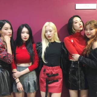 Drip Hinapia wallpaper