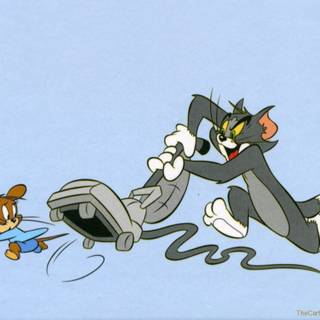 Tom and Jerry fighting wallpaper
