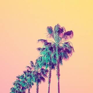 Summer vibes laptop wallpaper