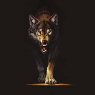 4 wolves wallpaper