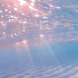 Summer Korea wallpaper