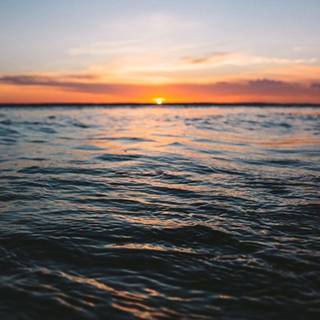 Sunshine summer wallpaper