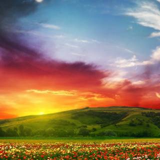 Vertical summer wallpaper