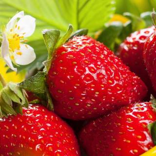 Cute spring fruits wallpaper