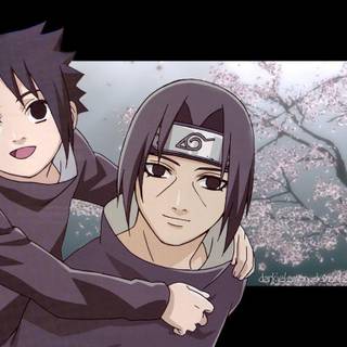 Baby Itachi wallpaper
