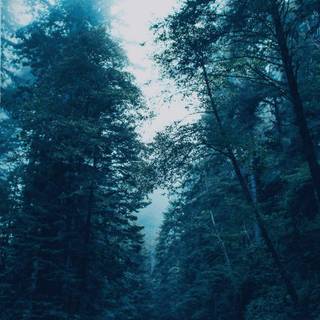 iPhone 4k landscape wallpaper